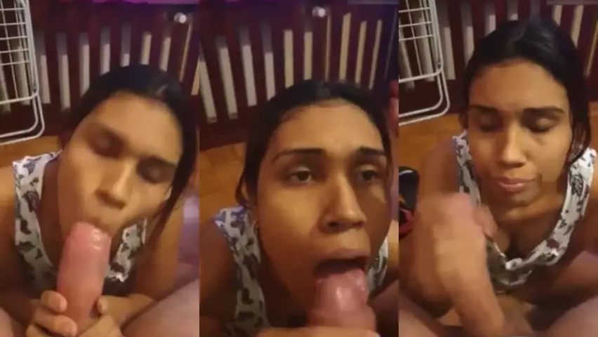 Maid sucking her boss #039;s dick deliciously